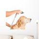 Bathroom to Dog Wall Decal
