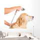 Bathroom to Dog Wall Decal