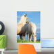 Welsh Pony Foals Pasture Wall Decal