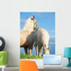 Welsh Pony Foals Pasture Wall Decal