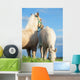 Welsh Pony Foals Pasture Wall Decal