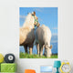 Welsh Pony Foals Pasture Wall Decal