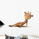 Giraffe Wall Decal Design 1