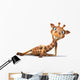 Giraffe Wall Decal Design 1