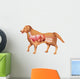 Anatomy Dog Wall Decal