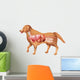Anatomy Dog Wall Decal