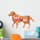 Anatomy Dog Wall Decal