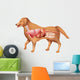 Anatomy Dog Wall Decal