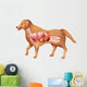 Anatomy Dog Wall Decal