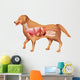 Anatomy Dog Wall Decal