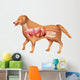 Anatomy Dog Wall Decal