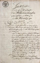 Handwritten Text Antique Manuscript Wall Decal