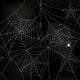 Vector Illustration Scary Spider Wall Decal Design 1