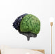 Right and Left Brain Wall Decal