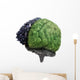 Right and Left Brain Wall Decal