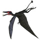 Dorygnathus Pterosaur White Wall Decal