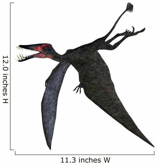Dorygnathus Pterosaur White Wall Decal