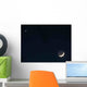 Moon and Venus Wall Decal