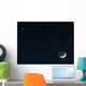 Moon and Venus Wall Decal