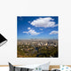 Downtown La Los Angeles Wall Decal