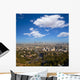 Downtown La Los Angeles Wall Decal