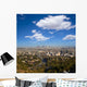 Downtown La Los Angeles Wall Decal
