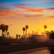 La Los Angeles Sunset Wall Decal