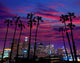 Downtown La Night Los Wall Decal