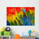 Scarlet Macaw Feathers Wall Decal