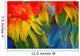 Scarlet Macaw Feathers Wall Decal