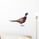 Male Pheasant Wall Decal