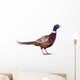 Male Pheasant Wall Decal