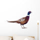 Male Pheasant Wall Decal
