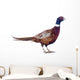 Male Pheasant Wall Decal