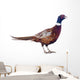 Male Pheasant Wall Decal