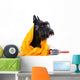 Dog after Bath Wall Decal