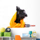 Dog after Bath Wall Decal