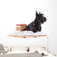Scotch Terrier with Books Wall Decal