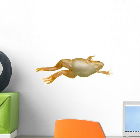Frog Xenopus Laevis Wall Decal