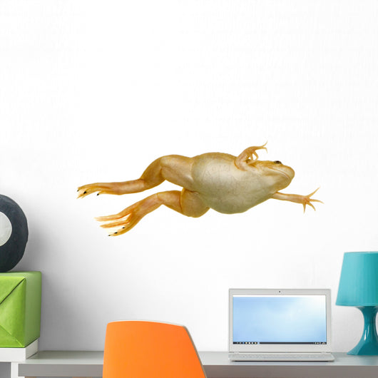 Frog Xenopus Laevis Wall Decal