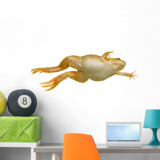 Frog Xenopus Laevis Wall Decal
