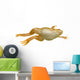 Frog Xenopus Laevis Wall Decal