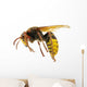 Hornet Wall Decal