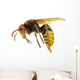 Hornet Wall Decal