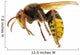 Hornet Wall Decal