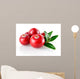 Cranberry Closeup Wall Decal