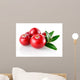 Cranberry Closeup Wall Decal