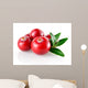 Cranberry Closeup Wall Decal