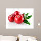Cranberry Closeup Wall Decal