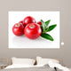 Cranberry Closeup Wall Decal